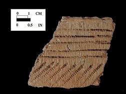 Shepard rim sherd decorated with direct cord and cord-wrapped dowel impressions, exterior surface, which shows decoration extending up over lip edge, from the Fout Collection, Maryland.